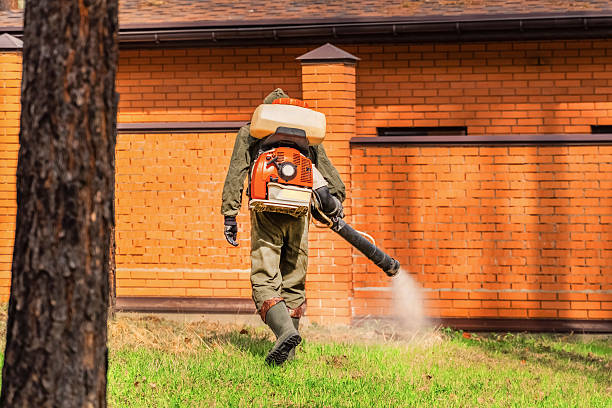 Trusted Fumigation Services service in Buenaventura Lakes, FL - Nex Pest Control